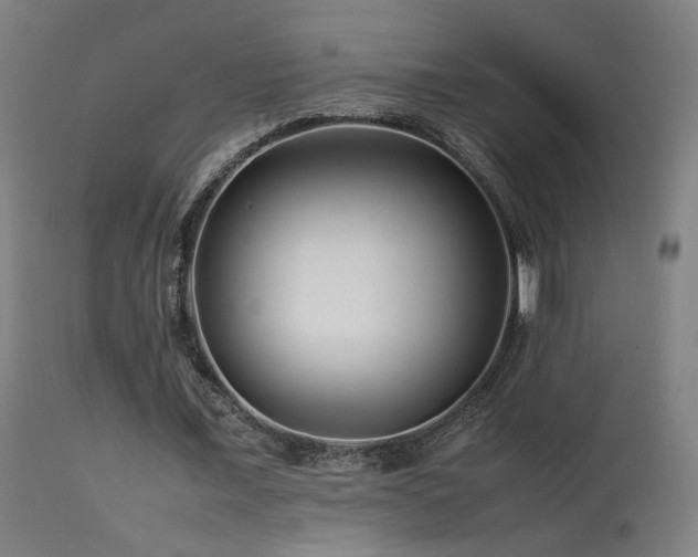 X0000113370675200909221224