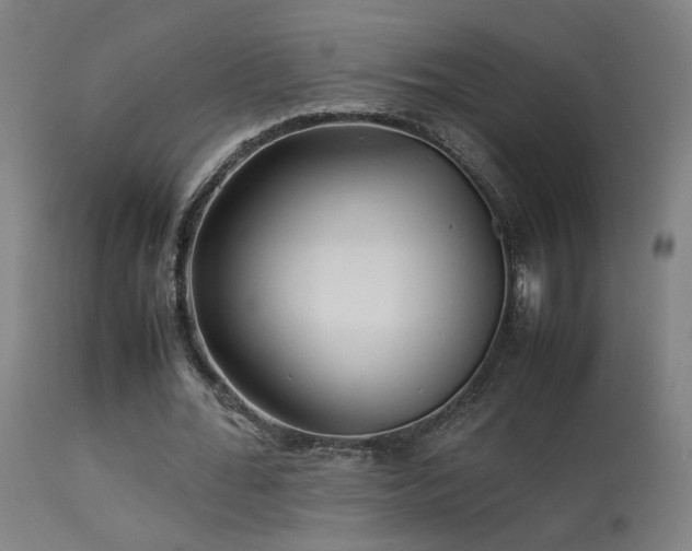 X0000113370676200909221224