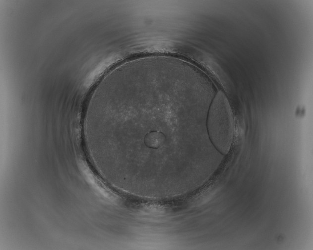 X0000113370677200909221224