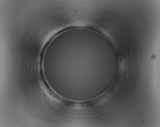 X0000113370678200909221224