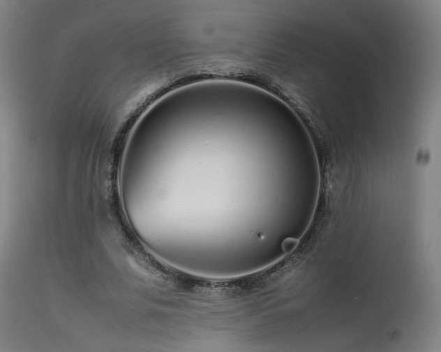 X0000113370679200909221224