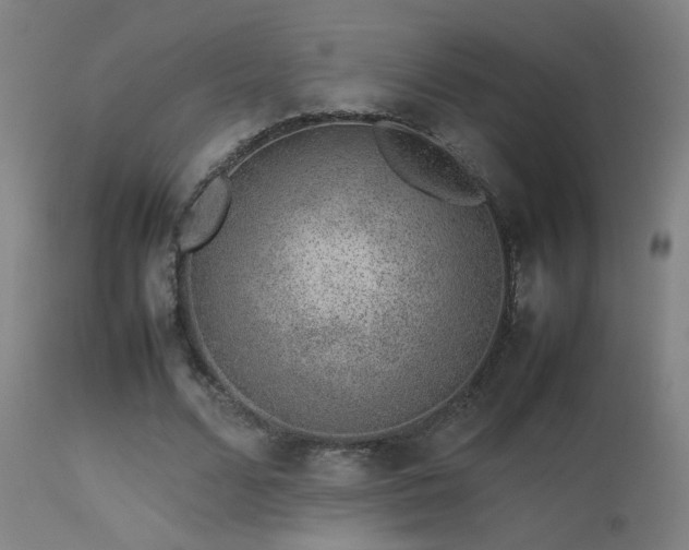 X0000113370680200909221224