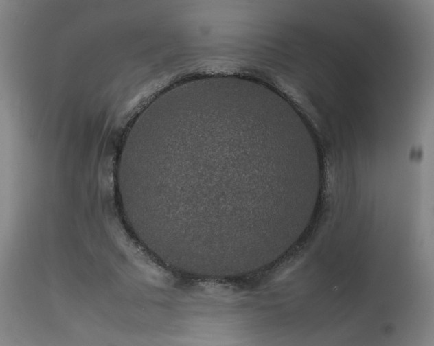 X0000113370681200909221224