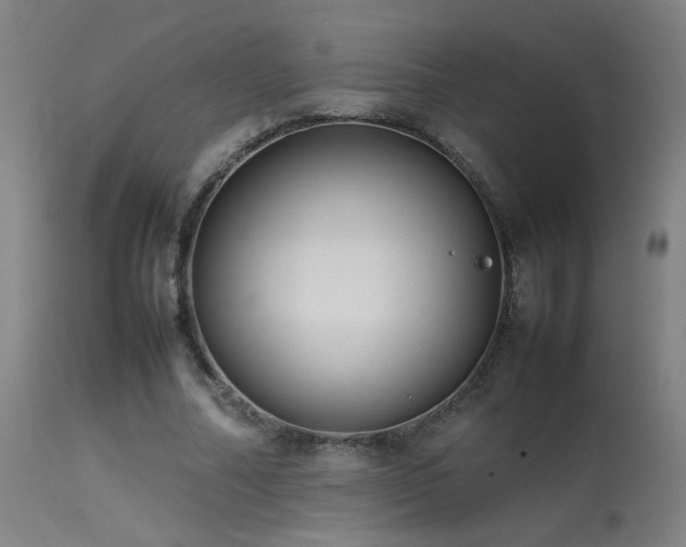 X0000113370682200909221224
