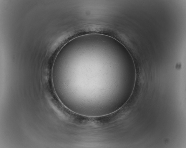 X0000113370683200909221224