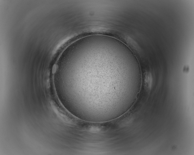 X0000113370684200909221224