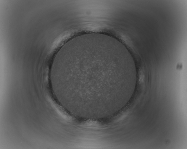 X0000113370685200909221224