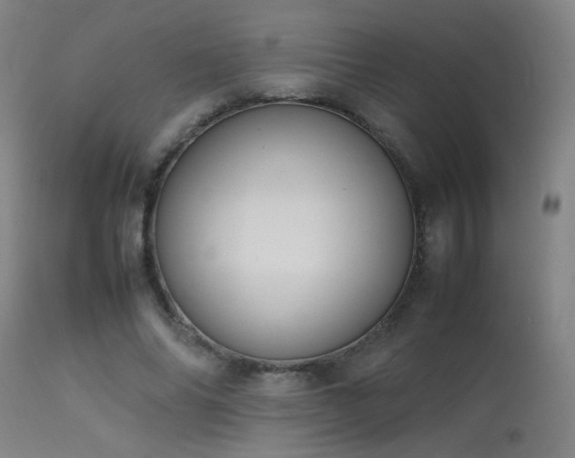 X0000113370686200909221224