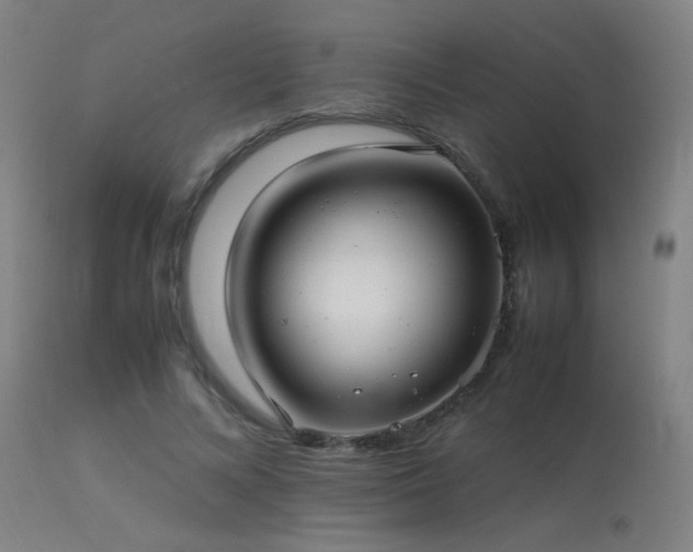 X0000113370688200909221224