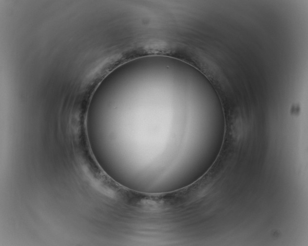 X0000113370690200909221224