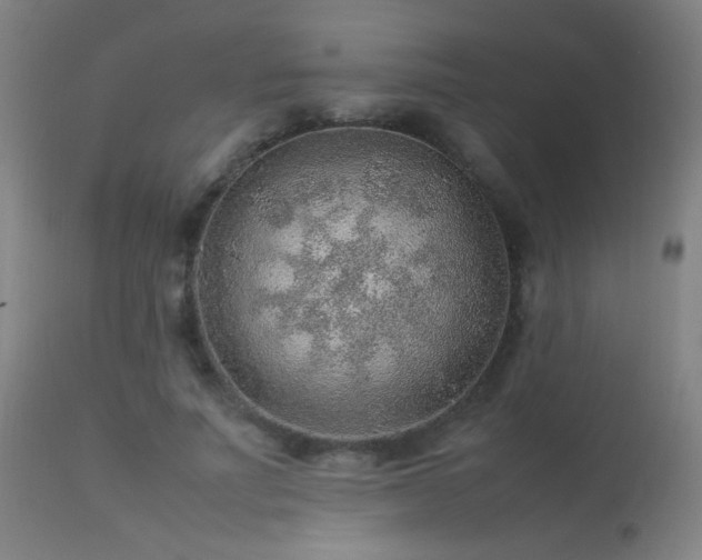X0000113370691200909221223