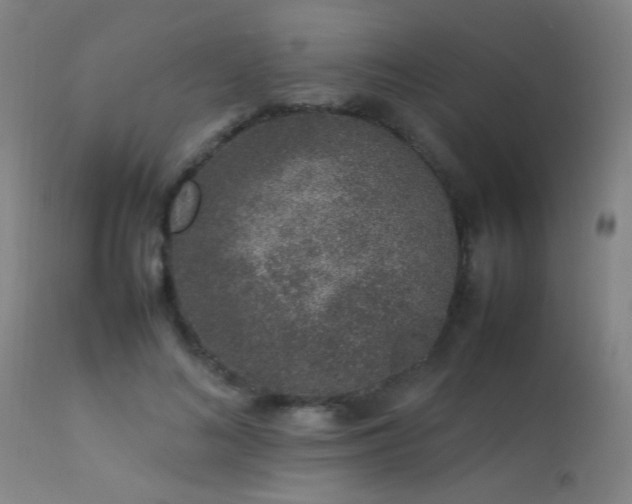 X0000113370692200909221223