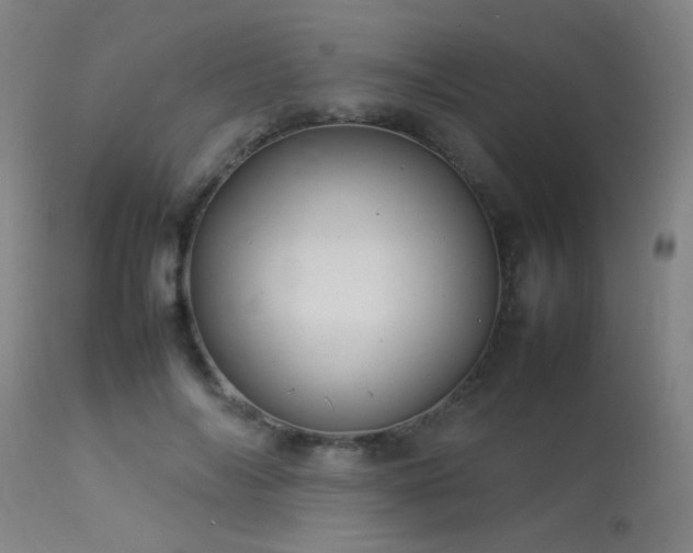 X0000113370694200909221223