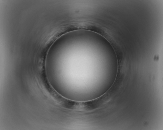 X0000113370695200909221223