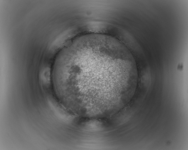 X0000113370696200909221223