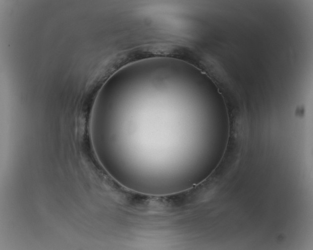 X0000113370697200909221223
