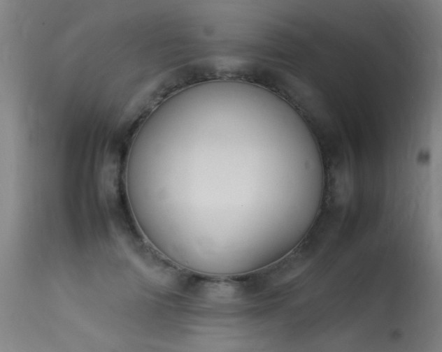 X0000113370698200909221223