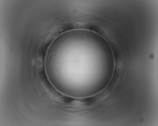 X0000113370699200909221223