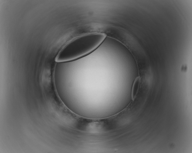 X0000113370700200909221223