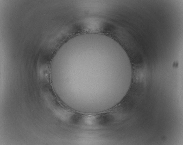 X0000113370701200909221223