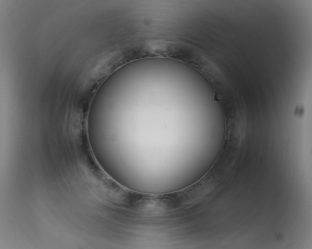X0000113370702200909221223