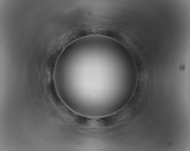 X0000113370703200909221223