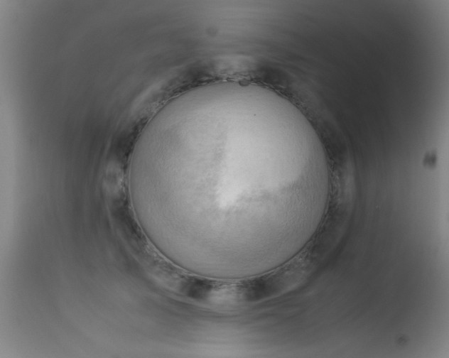 X0000113370705200909221223