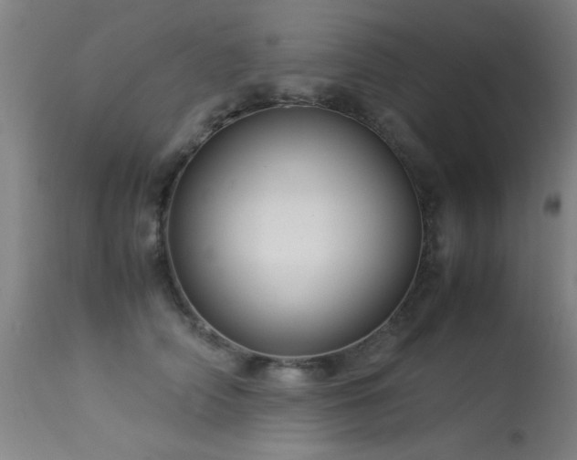 X0000113370706200909221223