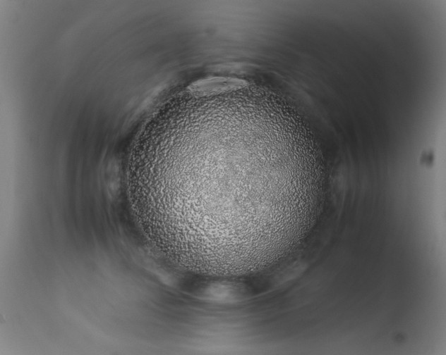 X0000113370708200909221223