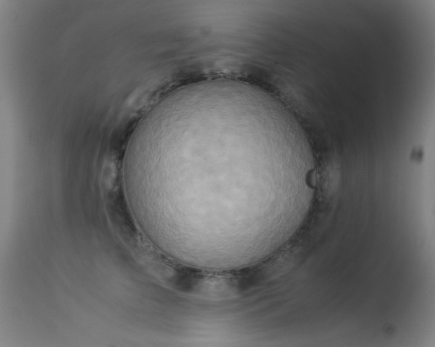 X0000113370709200909221223