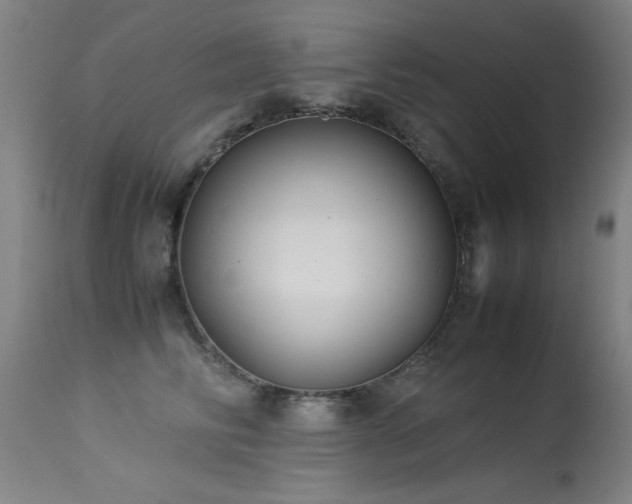 X0000113370710200909221223