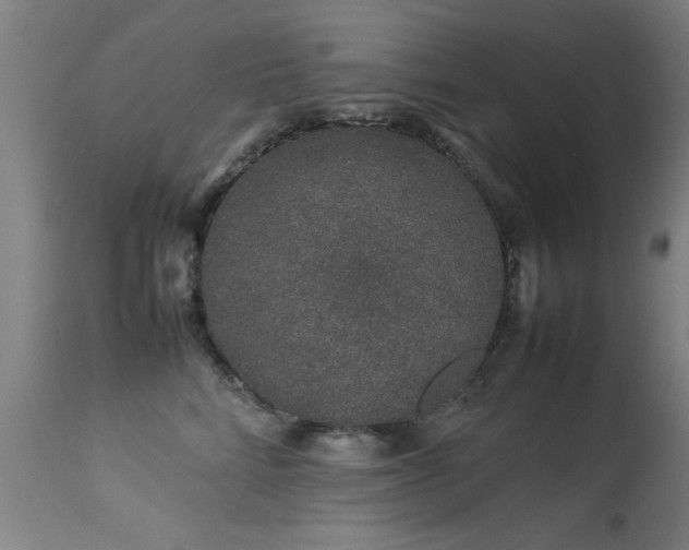 X0000113370712200909221223