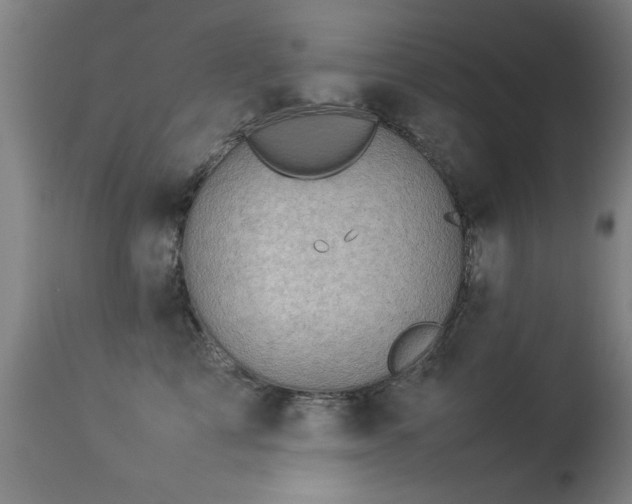 X0000113370713200909221223