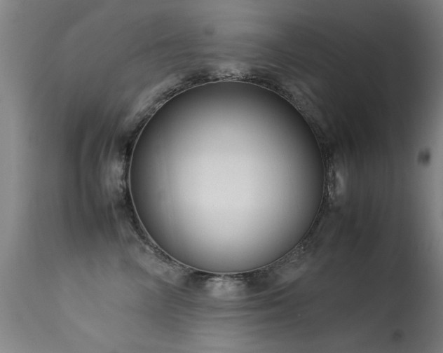 X0000113370714200909221223