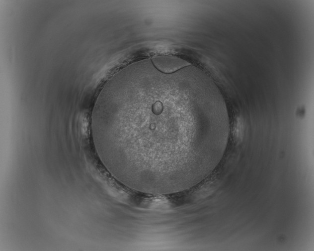 X0000113370715200909221223