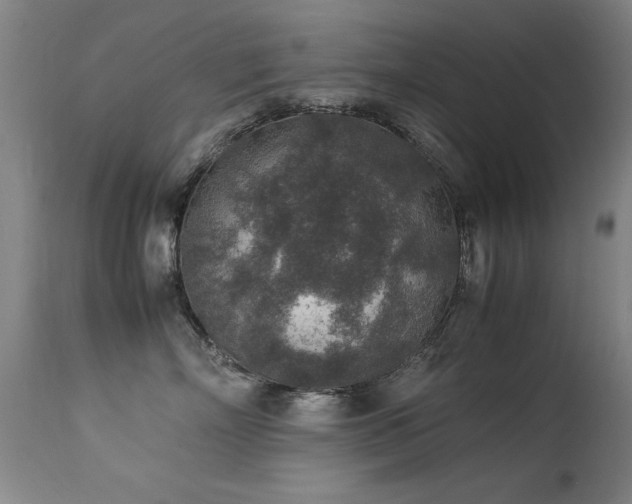X0000113370718200909221223