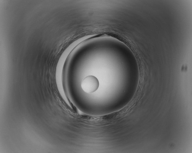 X0000113370720200909221223