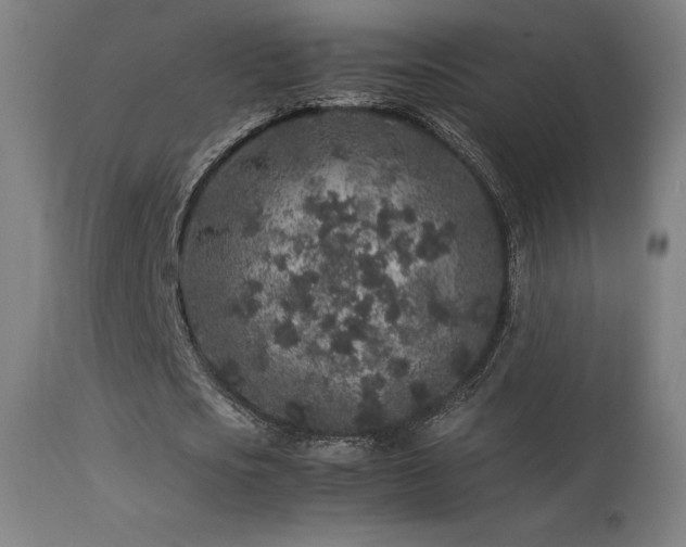 X0000113370721200909221222