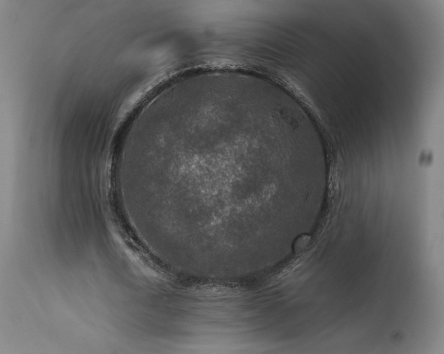 X0000113370722200909221222