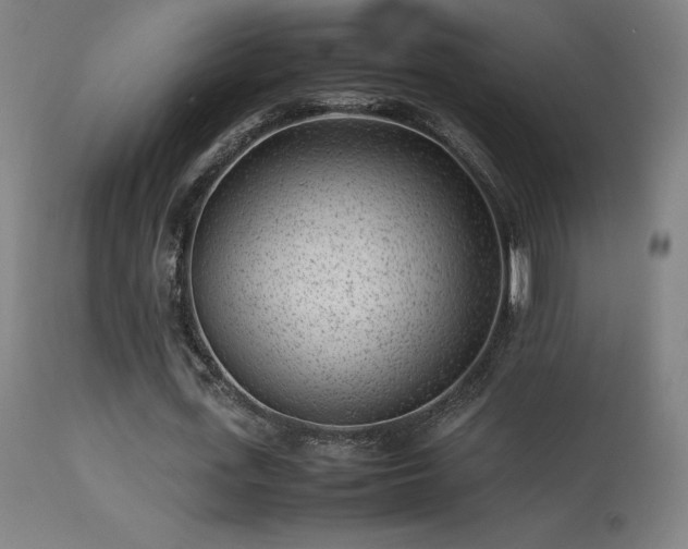X0000113370723200909221222