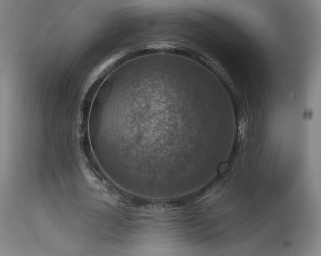 X0000113370724200909221222