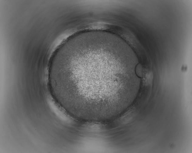 X0000113370726200909221222