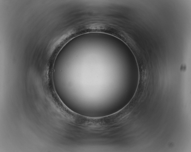 X0000113370727200909221222