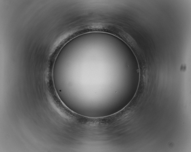 X0000113370728200909221222