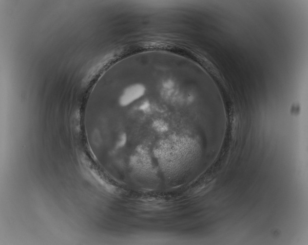 X0000113370729200909221222