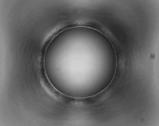 X0000113370730200909221222