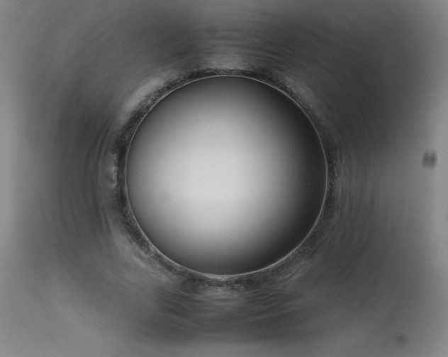 X0000113370731200909221222