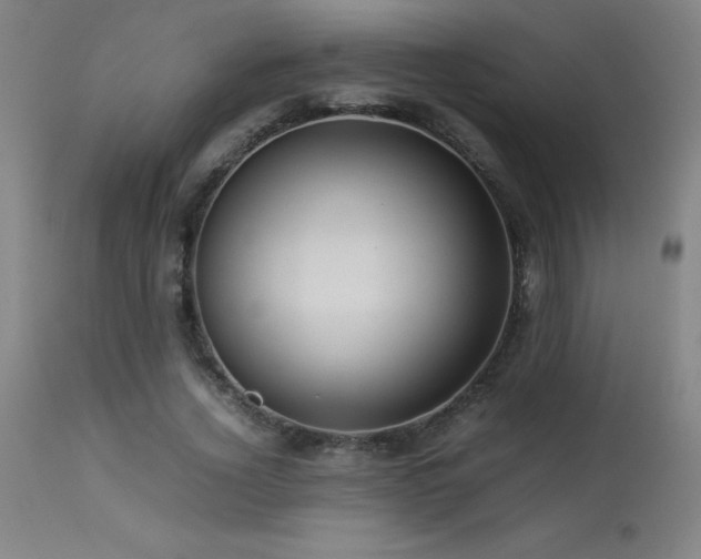 X0000113370732200909221222