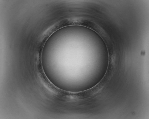 X0000113370733200909221222