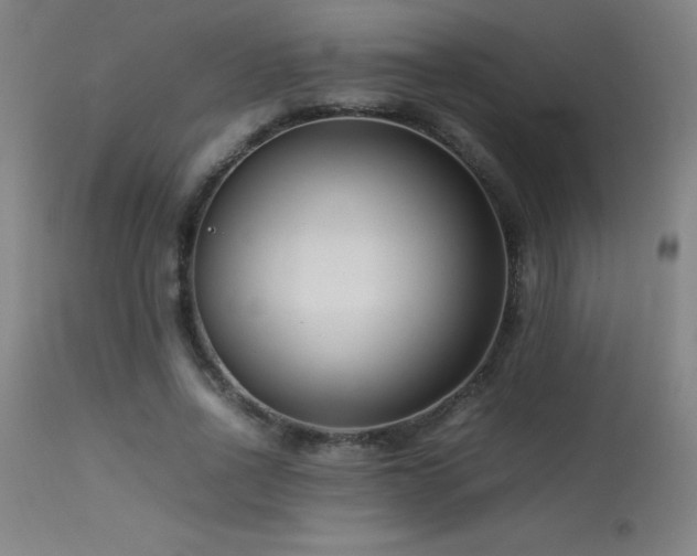 X0000113370734200909221222